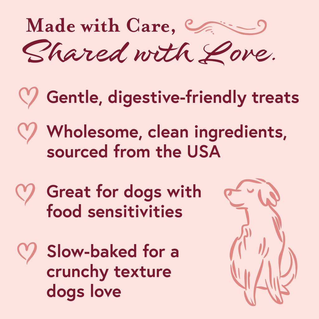 Salmon & Sweet Potato Dog Treats