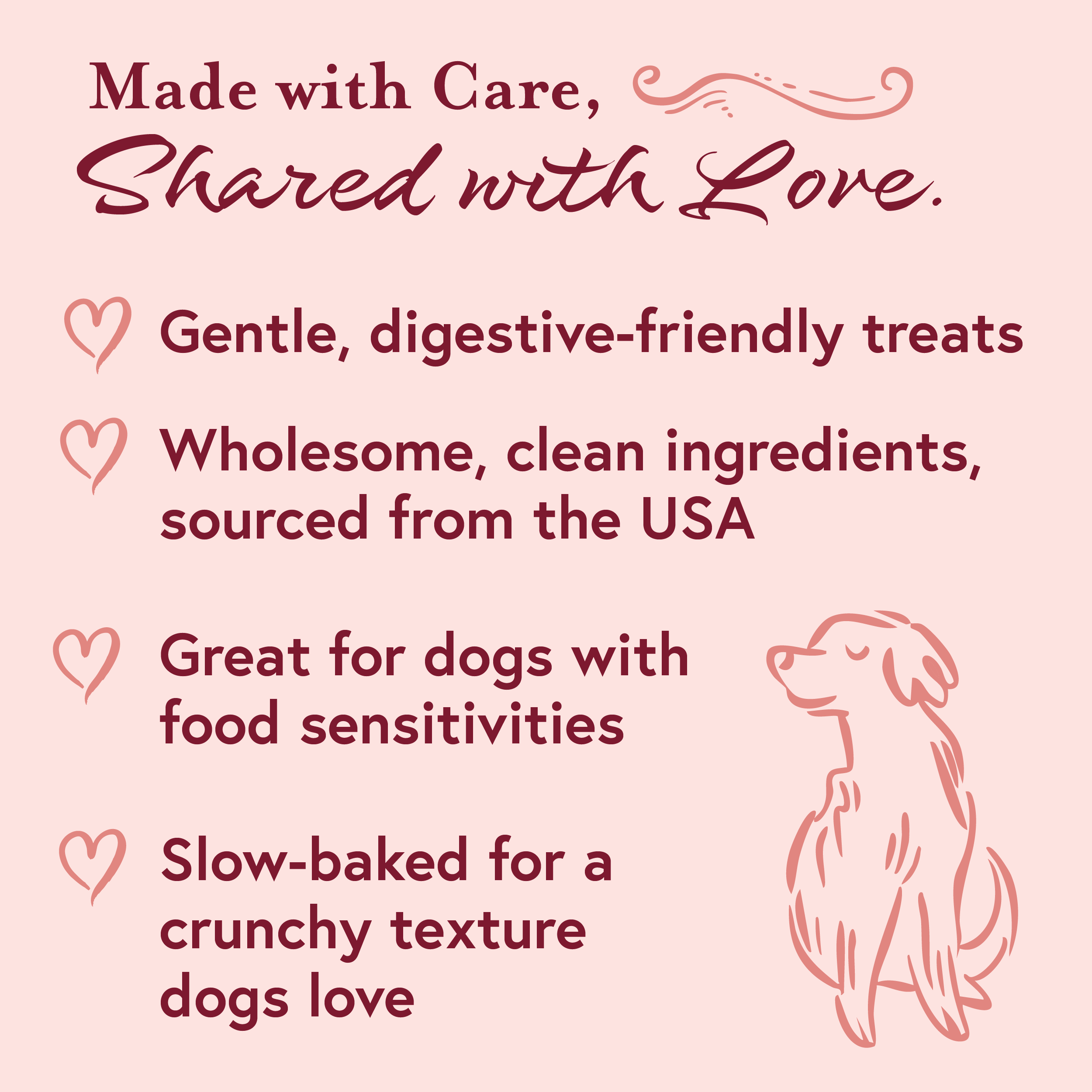 Savory Turkey & Pumpkin Dog Treats