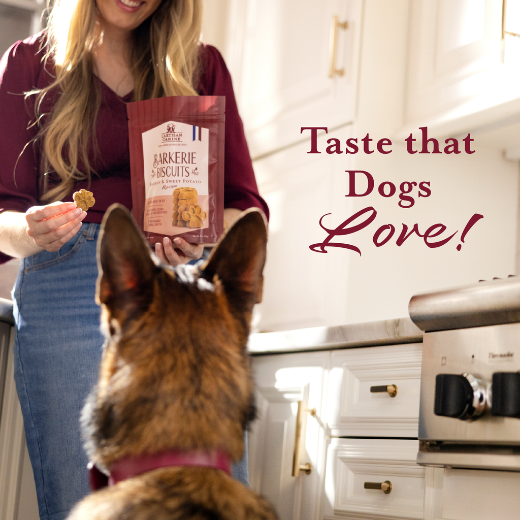 Salmon & Sweet Potato Dog Treats