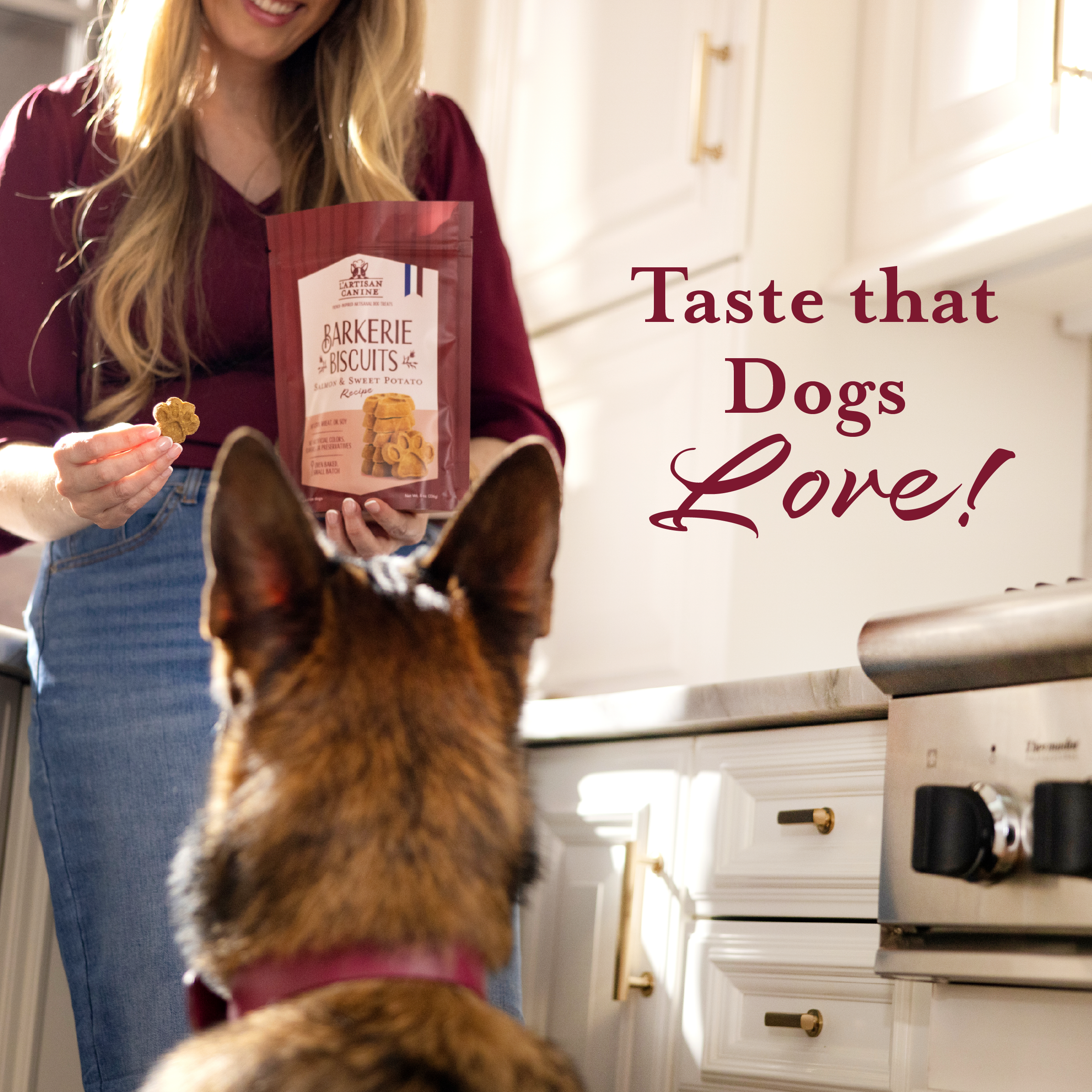 Salmon & Sweet Potato Dog Treats